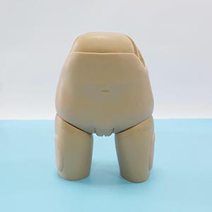 <a href=''><span style='color:#2f82c5; display:inline; font-weight:bold;'>Evaluation model for Advanced Uterine floor Examination</span></a>