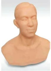 <a href=''><span style='color:#2f82c5; display:inline; font-weight:bold;'>Acupuncture head training module</span></a>