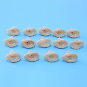 <a href=''><span style='color:#2f82c5; display:inline; font-weight:bold;'>Advanced ear examination model</span></a>