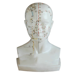 <a href=''><span style='color:#2f82c5; display:inline; font-weight:bold;'>Head acupuncture model</span></a> <a href=''><span style='color:#2f82c5; display:inline; font-weight:bold;'>Head acupuncture model</span></a>