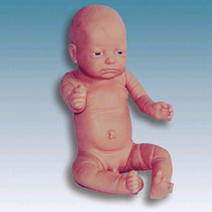 <a href=''><span style='color:#2f82c5; display:inline; font-weight:bold;'>Full-term infant model</span></a>