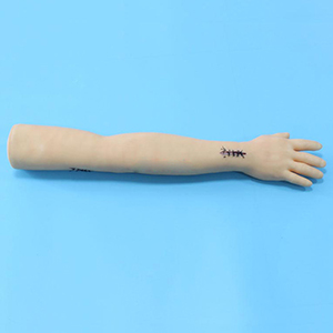 <a href=''><span style='color:#2f82c5; display:inline; font-weight:bold;'>Surgical Arm Suture Training Model</span></a>