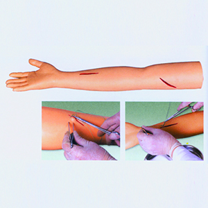 BIX-LF1 Advanced surgical arm suture training model.jpg