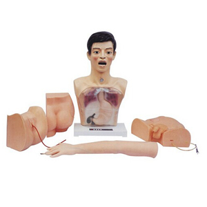 <a href=''><span style='color:#2f82c5; display:inline; font-weight:bold;'>Operational Model of Primary Nursing Practice</span></a>