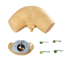 <a href=''><span style='color:#2f82c5; display:inline; font-weight:bold;'>Prostate Screening model</span></a>