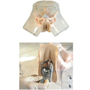 <a href=''><span style='color:#2f82c5; display:inline; font-weight:bold;'>Clear scratch mode</span></a>l