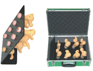 <a href=''><span style='color:#2f82c5; display:inline; font-weight:bold;'>Cervical lesion model</span></a>